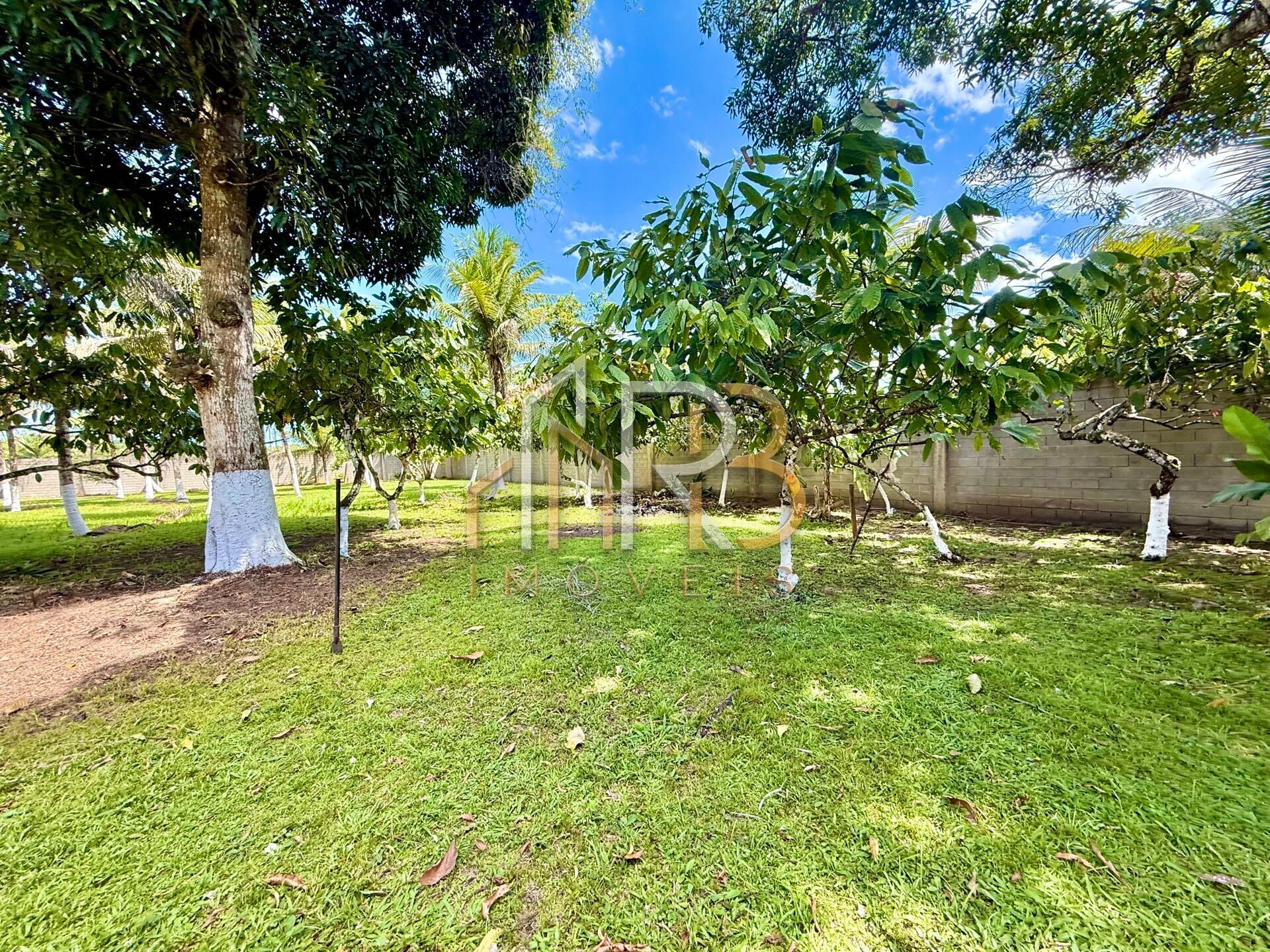 Fotografia 4 de Sítio a venda na Região do Coutos, murado e com casa pronta para morar