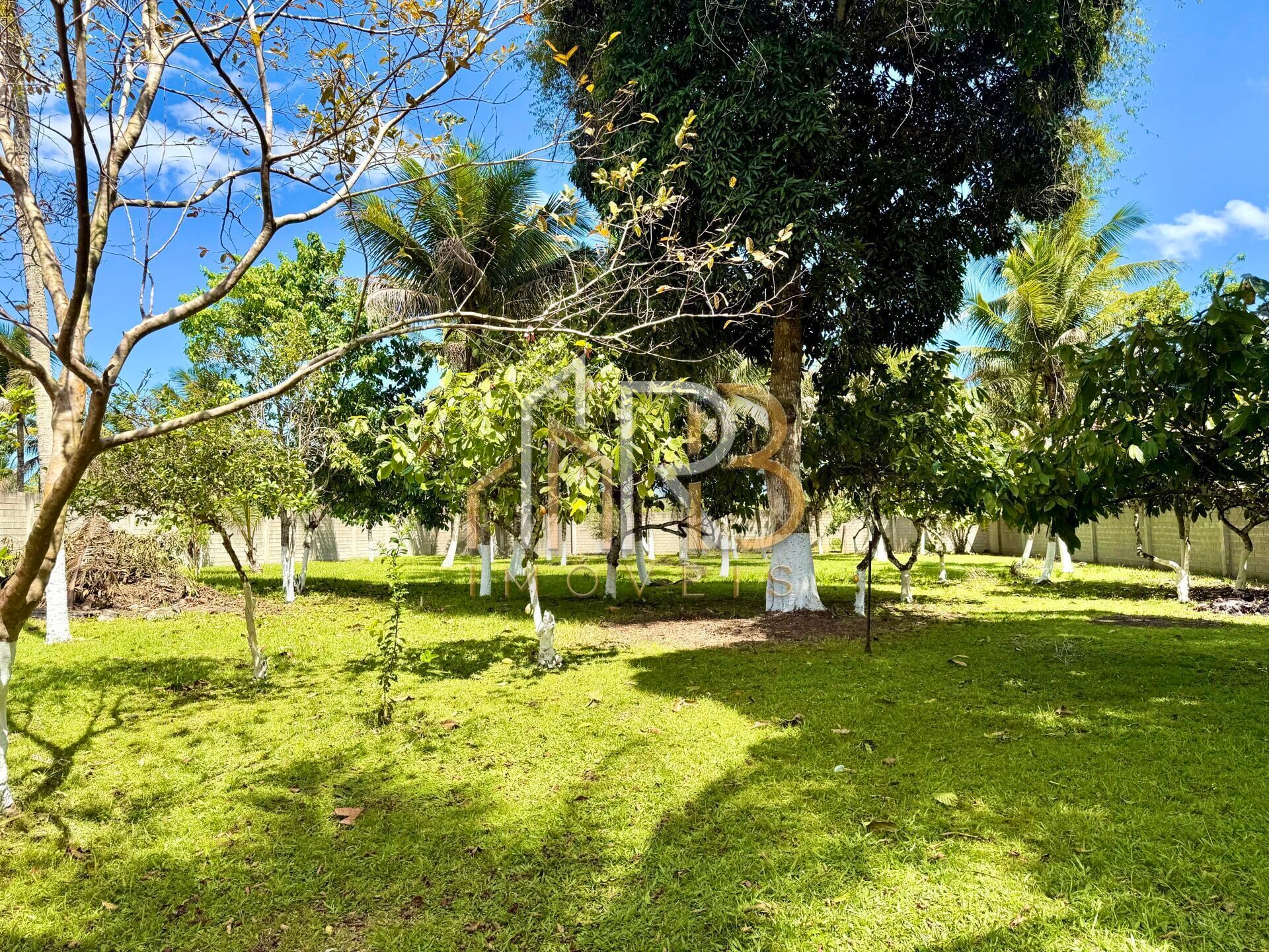 Fotografia 3 de Sítio a venda na Região do Coutos, murado e com casa pronta para morar