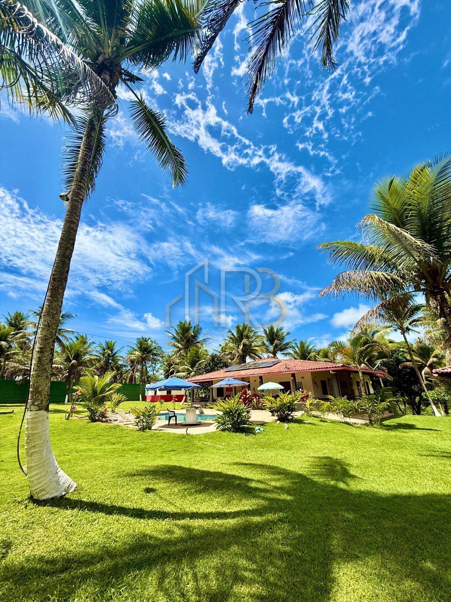 Fotografia 5 de Sítio / Rancho Premium para Venda em Ilhéus - Bahia