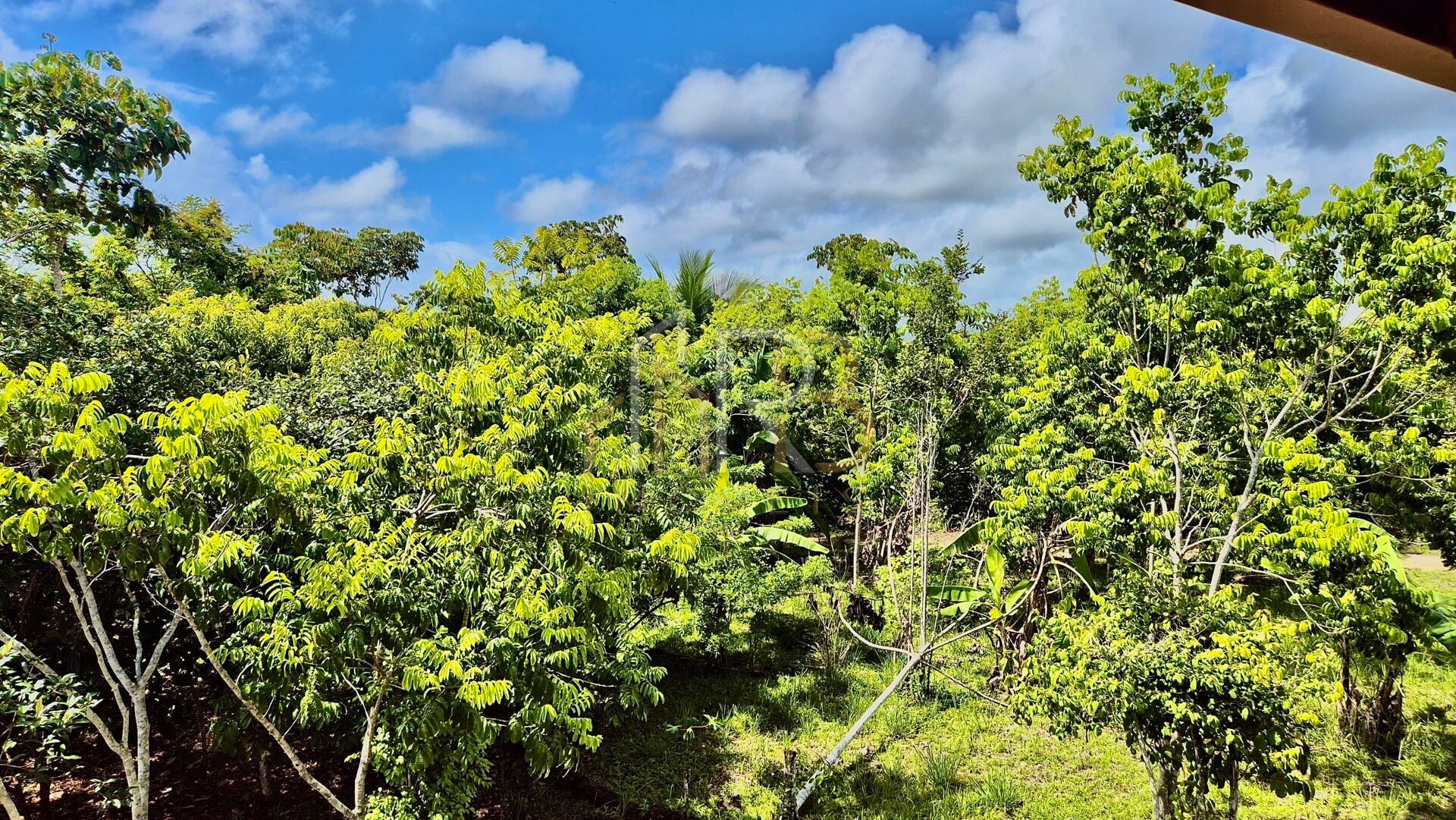 Fotografia 17 de Paraíso Sustentável em Ecovila Rural – Rod. Ilhéus - Serra Grande
