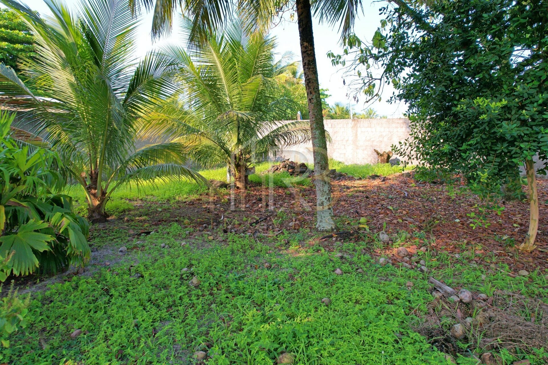 Fotografia 11 de Terreno próximo ao mar no bairro São Domingos zona norte de Ilhéus